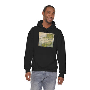The Cause of Ireland Hoodie